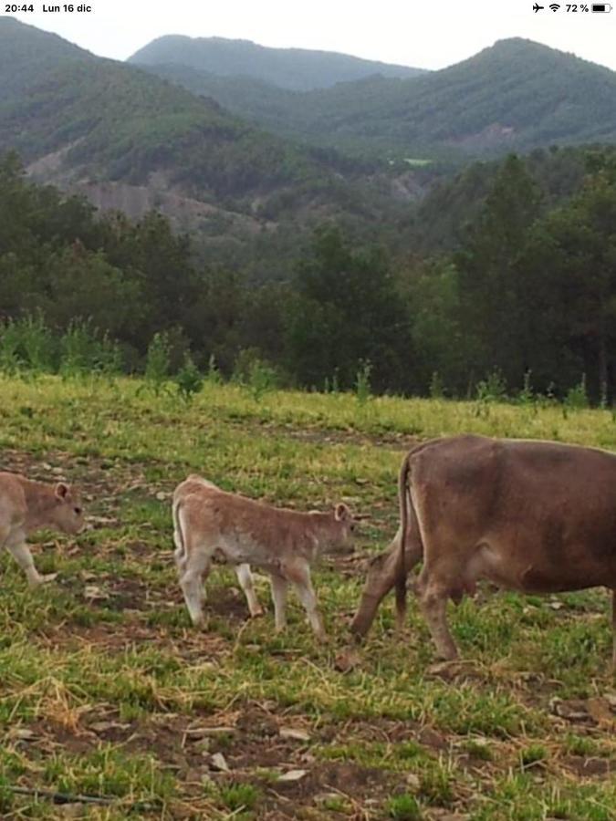 Appartamento Preciosas Vistas A La Montana, Luminoso Y Acogedor El Pueyo de Araguás Esterno foto