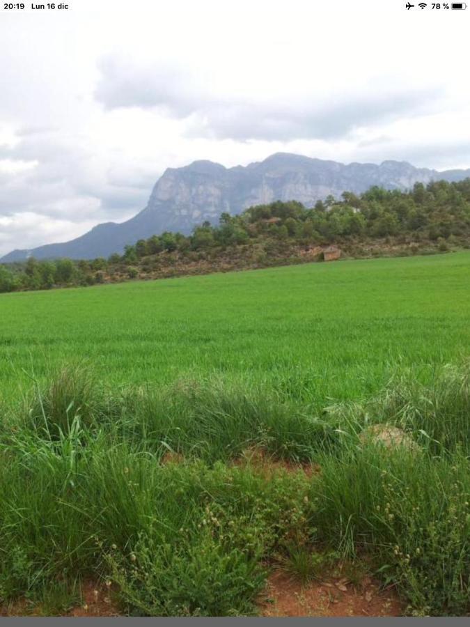 Appartamento Preciosas Vistas A La Montana, Luminoso Y Acogedor El Pueyo de Araguás Esterno foto