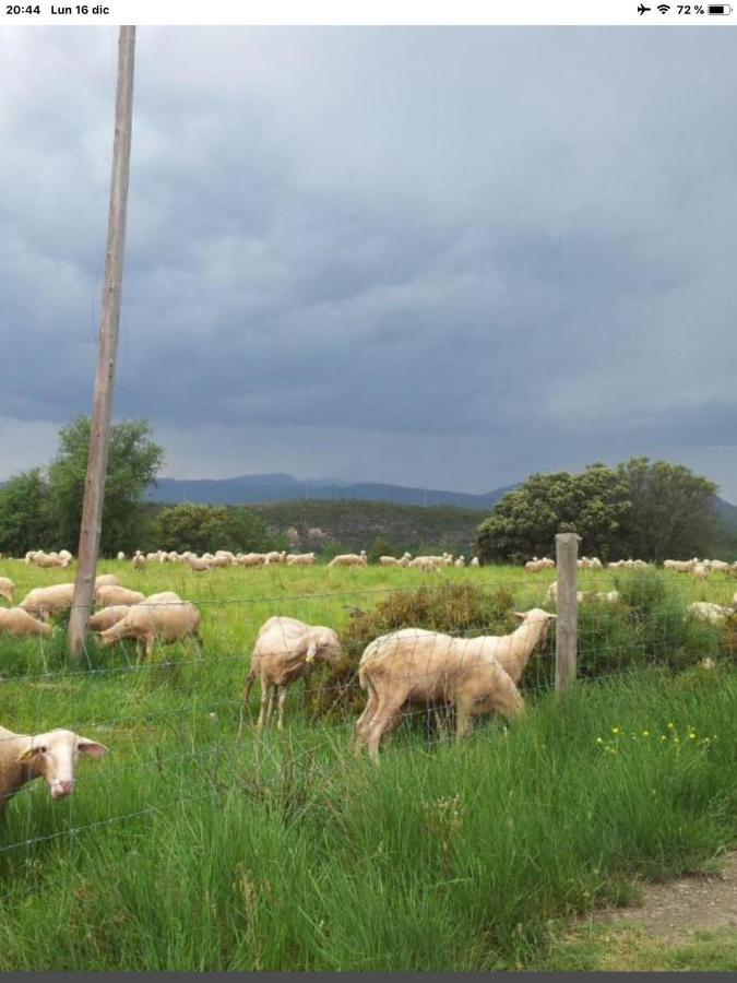 Appartamento Preciosas Vistas A La Montana, Luminoso Y Acogedor El Pueyo de Araguás Esterno foto